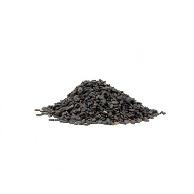 Cumino-nero-semi-Nigella
