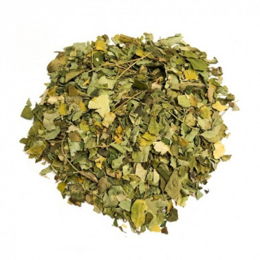 Infuso - Moringa