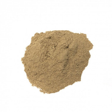 Cardamomo-in-polvere
