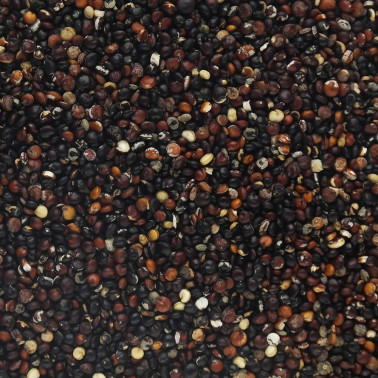 Quinoa nera
