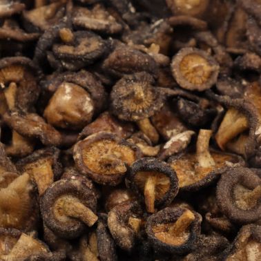 Chips di Funghi Shiitake