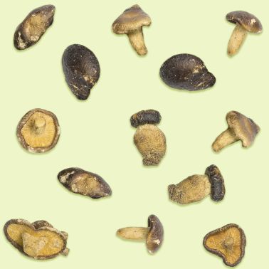 Chips di Funghi Shiitake