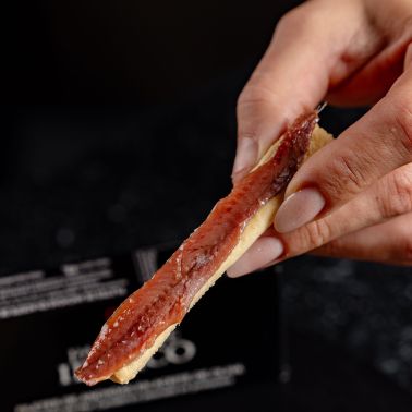 Filetti di Acciughe del Mar Cantabrico in Olio di Oliva - 440g