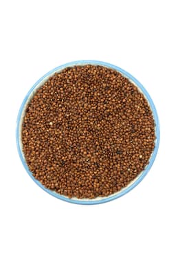 Quinoa Rossa