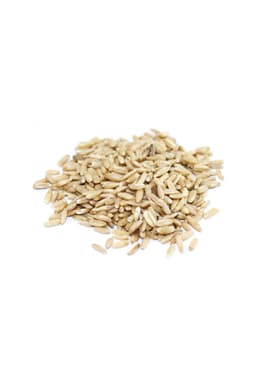 Avena Decorticata