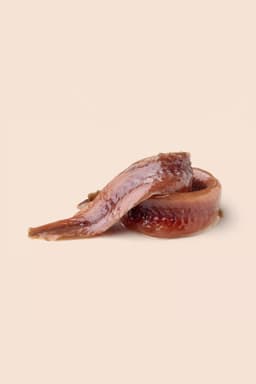 Filetti di Acciughe del Mar Cantabrico in Olio di Oliva - 49g
