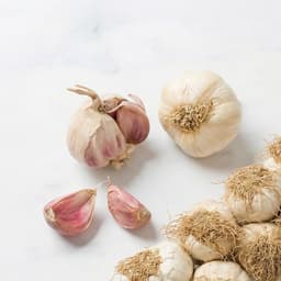Aglio italiano | Treccia ad anello 4 teste