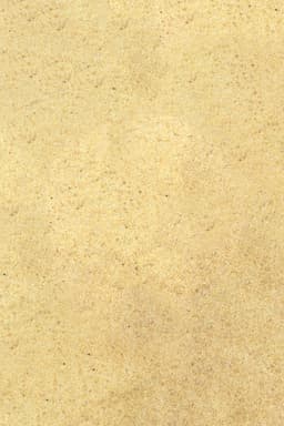 Aglio Disidratato Granulare Italiano