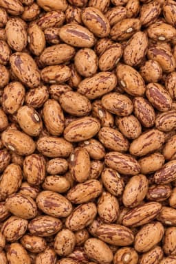 Fagioli Borlotti secchi