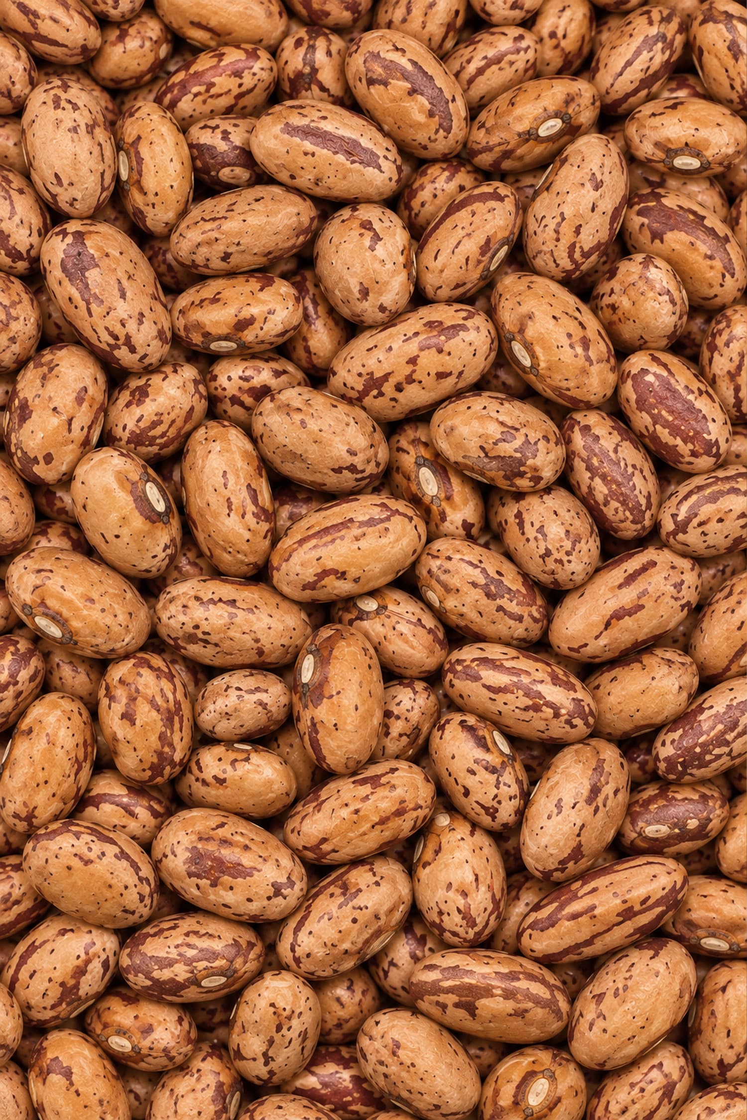 Fagioli Borlotti secchi