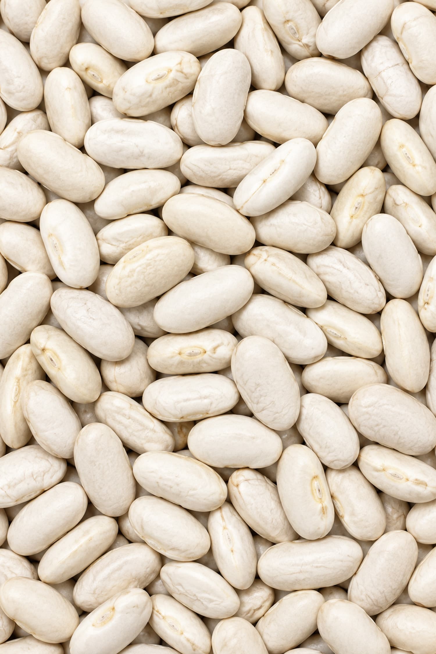 Fagioli Cannellini secchi