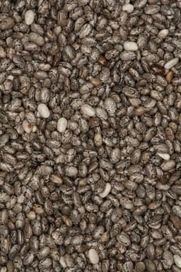 Semi di Chia
