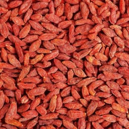 Bacche di Goji