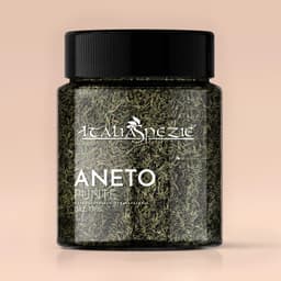 Aneto punte