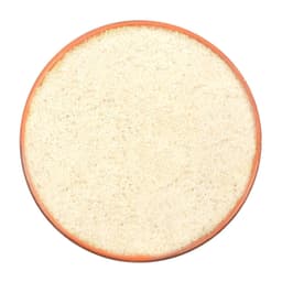 Aglio Disidratato in Polvere