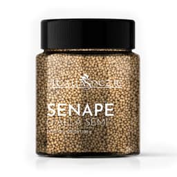 Senape Gialla in Semi