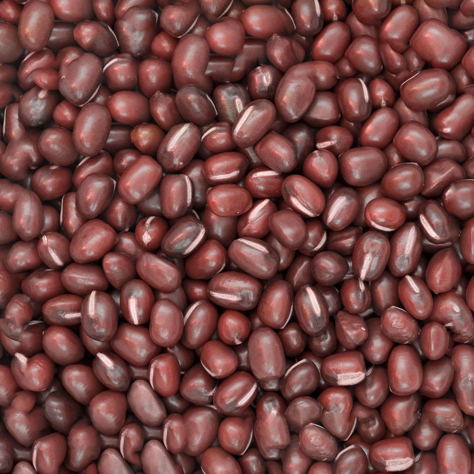 Fagioli Azuki Rossi - Soia Rossa