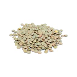 Lenticchie Verdi