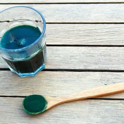 Alga Spirulina