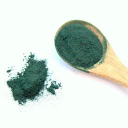 Alga Spirulina