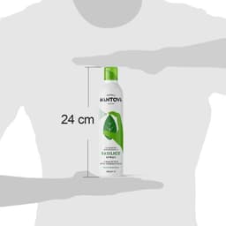 Olio al basilico spray in olio extravergine - 200 ml