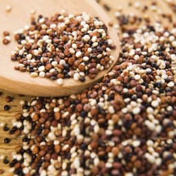 Quinoa Tricolore - Mix