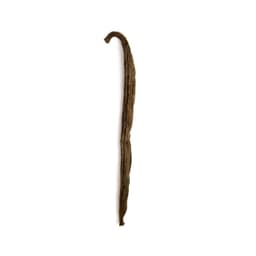Baccelli di vaniglia - 12/18cm