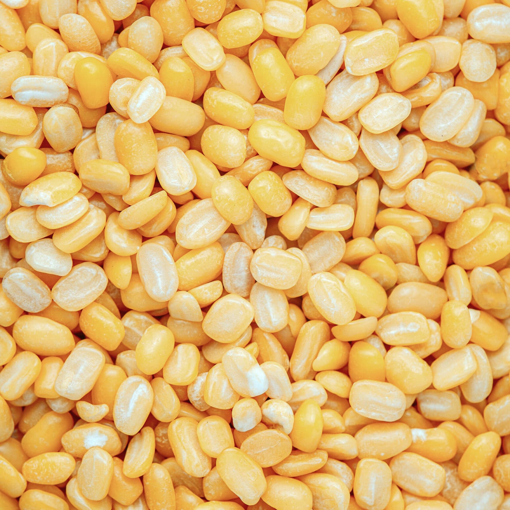 Fagioli Mung pelati