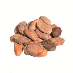 Fave di cacao