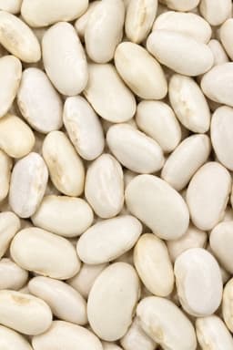 Fagioli Corona