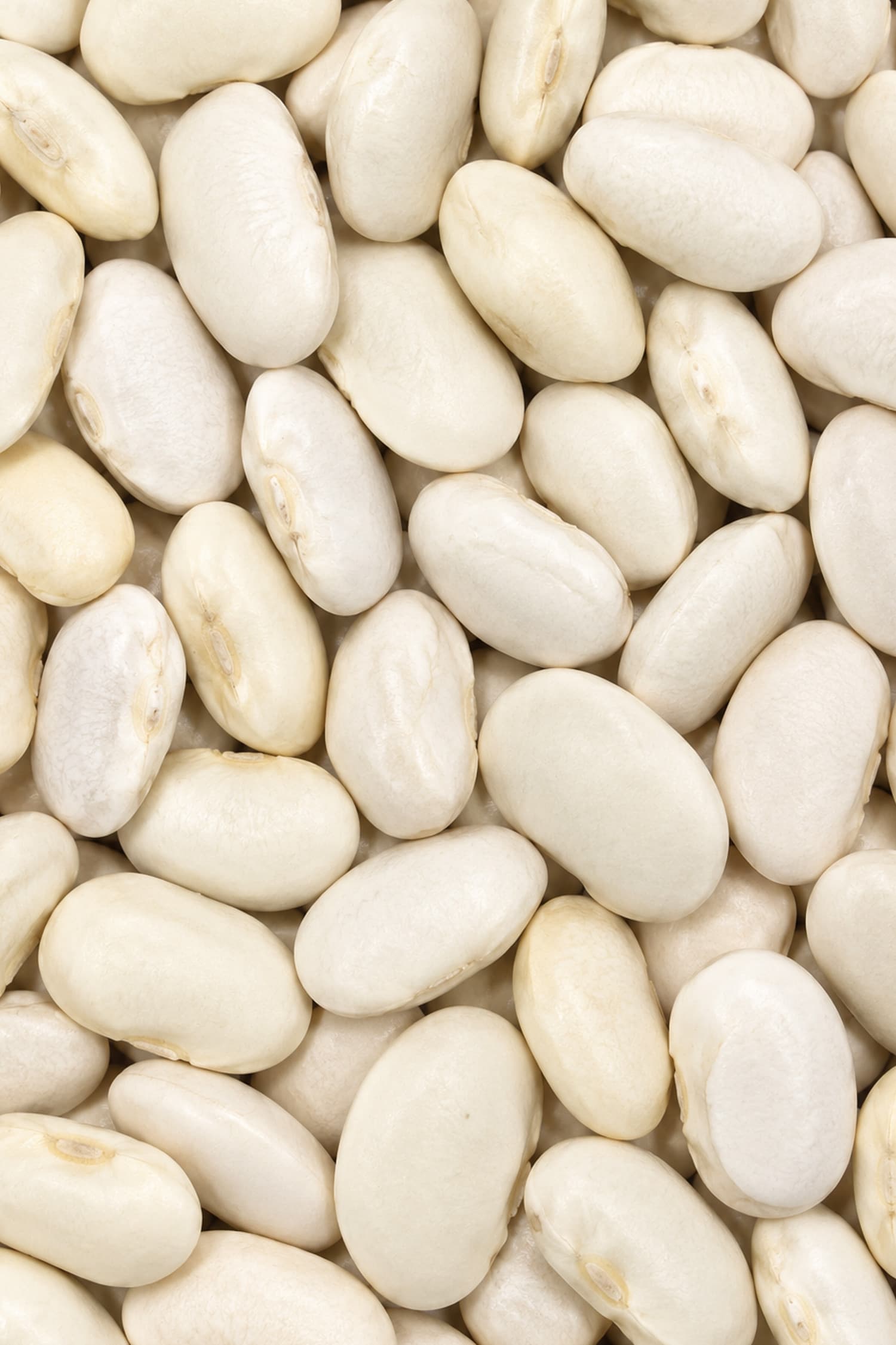 Fagioli Corona