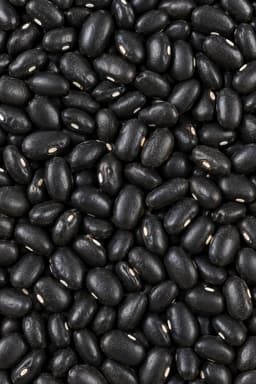 Fagioli Neri secchi