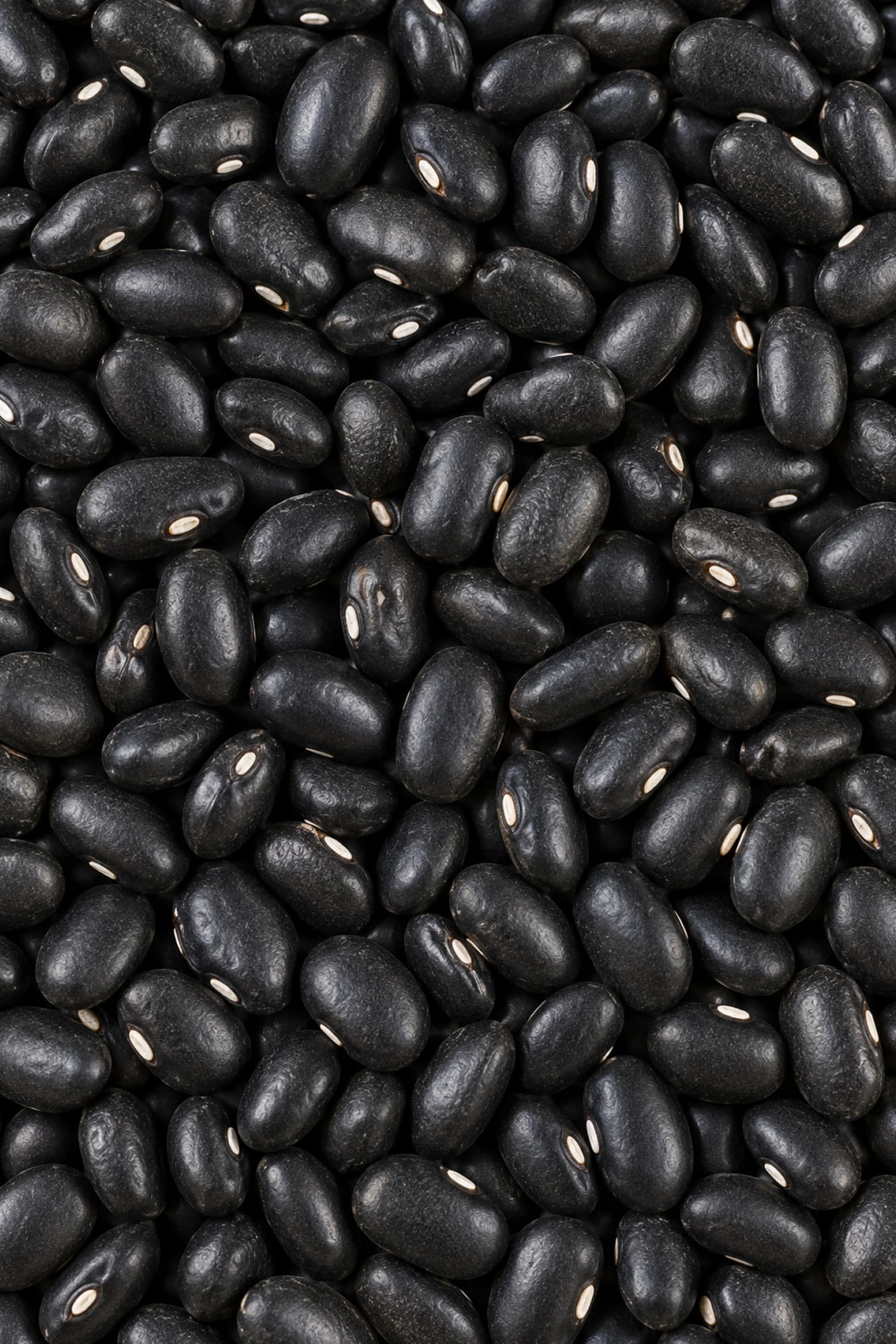 Fagioli Neri secchi