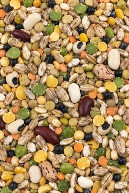 Misto Legumi e Cereali