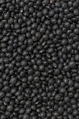 Lenticchie Nere