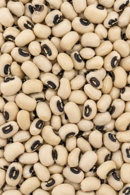 Fagioli Occhio secchi
