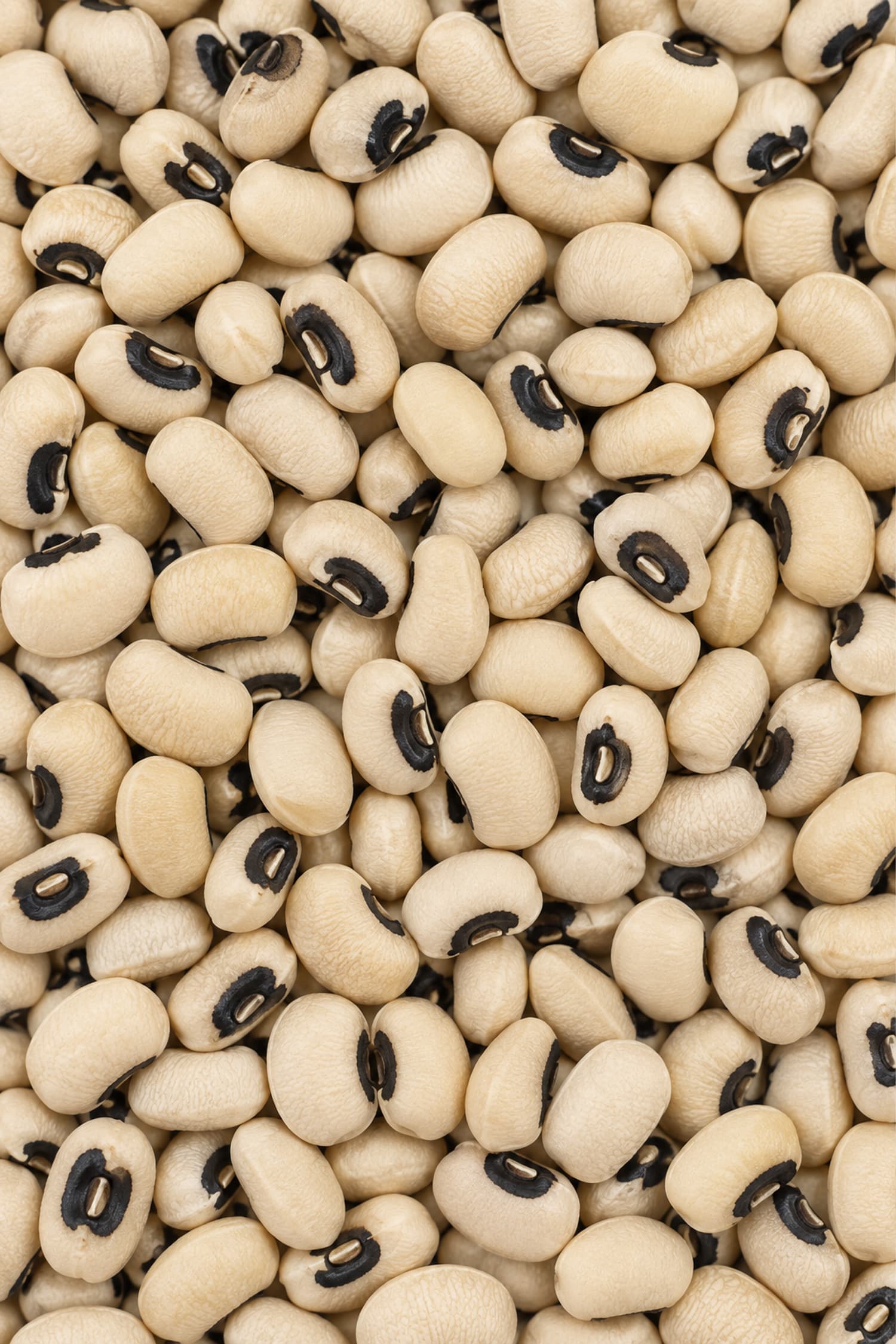 Fagioli Occhio secchi