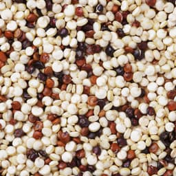 Quinoa Tricolore - Mix - Pacchetto 5 x 500 g