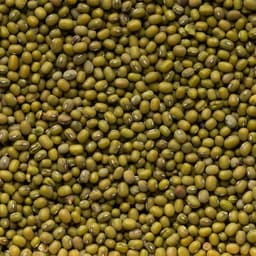 Fagioli Azuki Verdi - Soia verde Pacchetto 5 x 500g