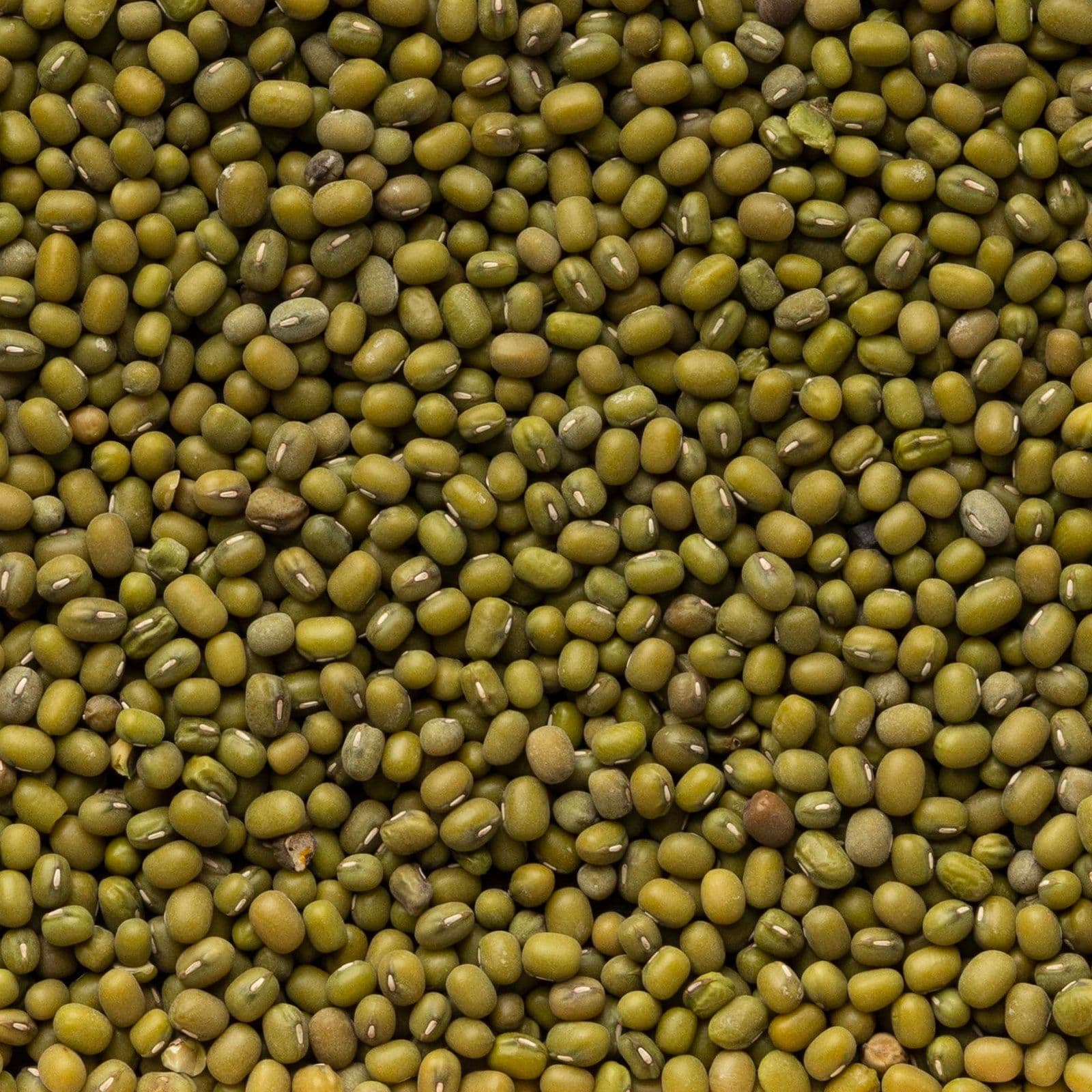 Fagioli Azuki Verdi - Soia verde Pacchetto 5 x 500g