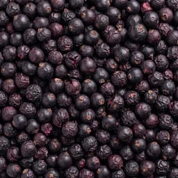 Ribes nero liofilizzato
