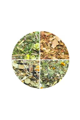 Box Tisane Sport [Pacchetto da 4]