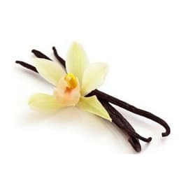 Vaniglia Bourbon del Madagascar - Grand Cru – Baccelli Gourmet Grade A - 18 cm