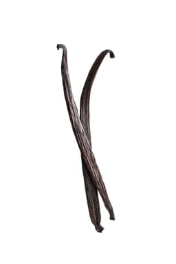 Vaniglia Bourbon del Madagascar - Grand Cru – Baccelli Gourmet Grade A - 18 cm