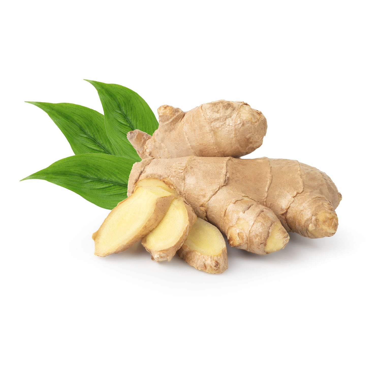 Zenzero radici fresche - 500g