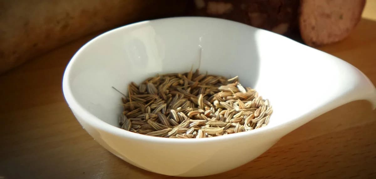 Semi di Carvi: come usarli in cucina e 7 ricette facili da realizzare