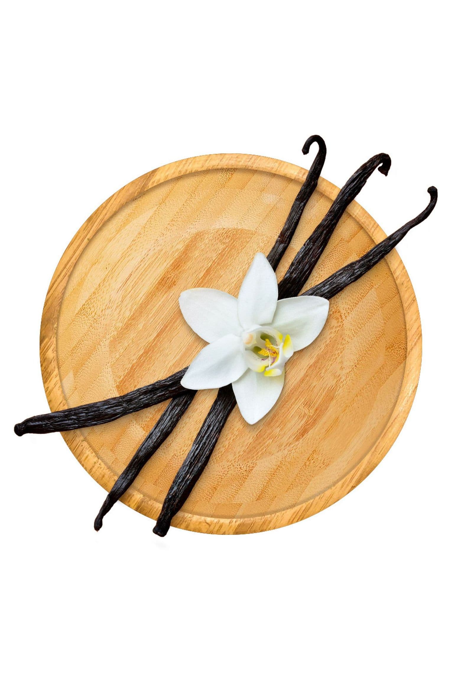 Vaniglia Bourbon del Madagascar - Grand Cru – Baccelli Gourmet Grade A - 18 cm