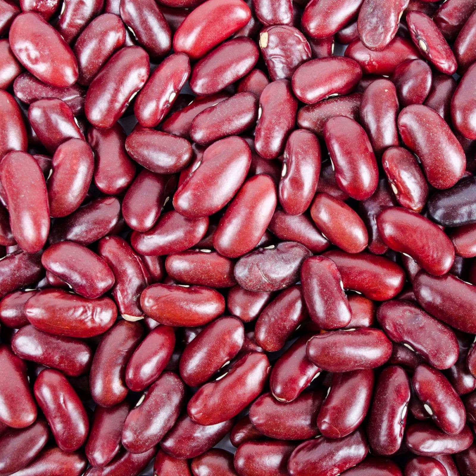 Fagioli Rossi - Dark Red Kidney