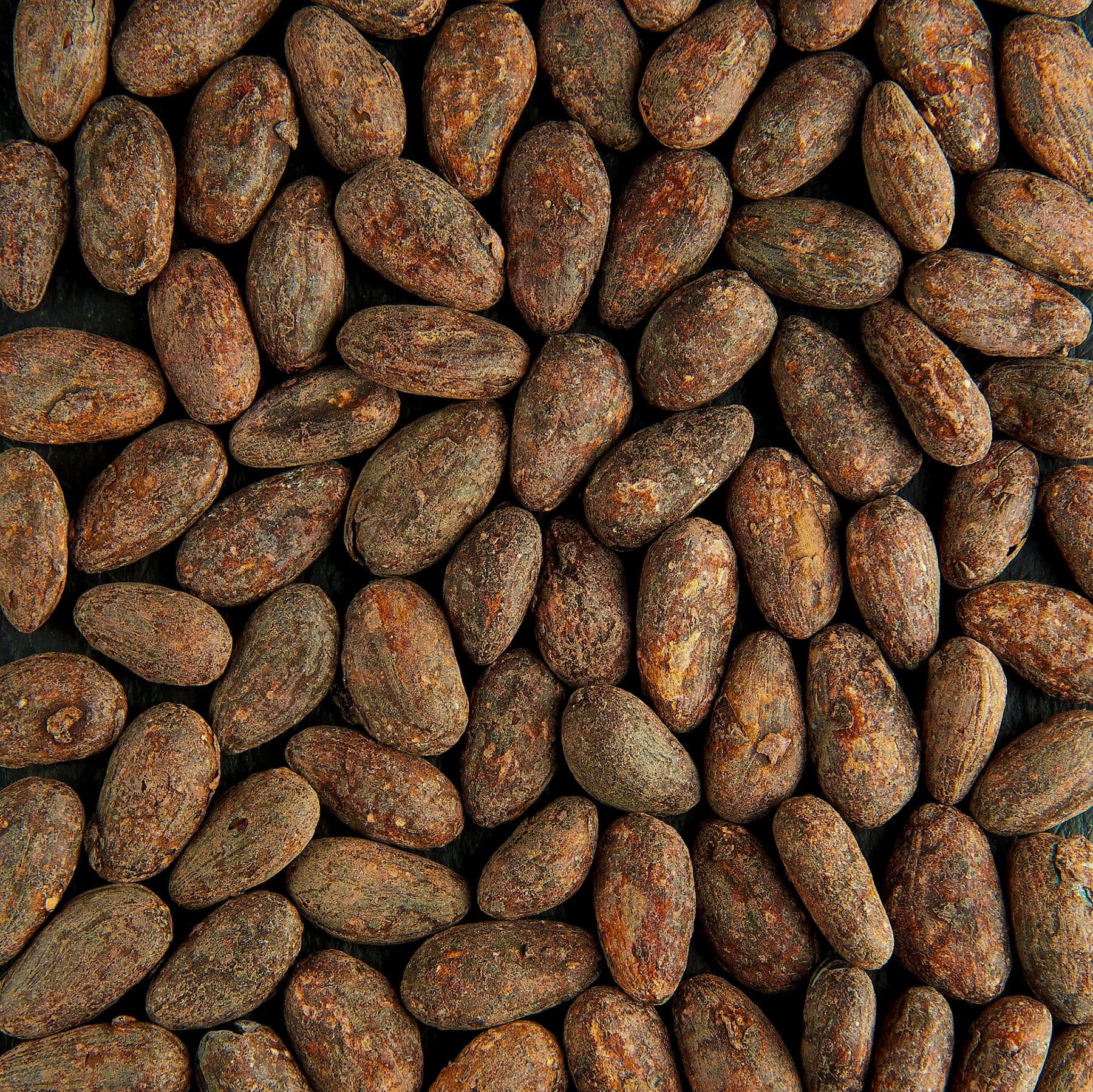 Fave di cacao