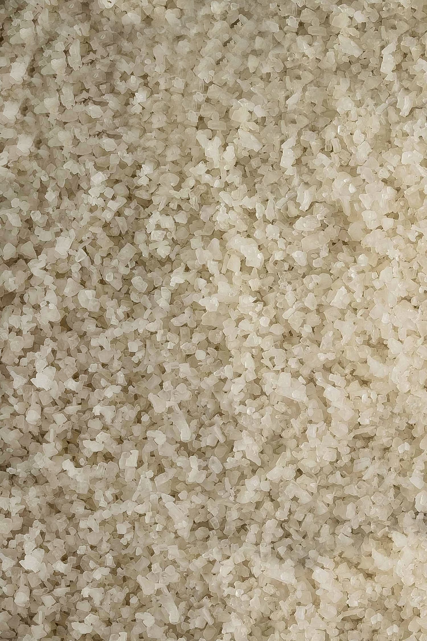 Sale Grigio - Di Guerande (Grani)